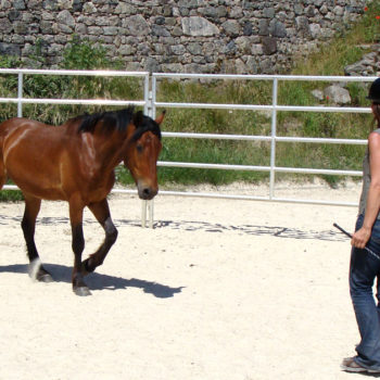 Equicoaching Cadac Jérôme Dumont et associés Lyon et Villefranche-sur-Saône