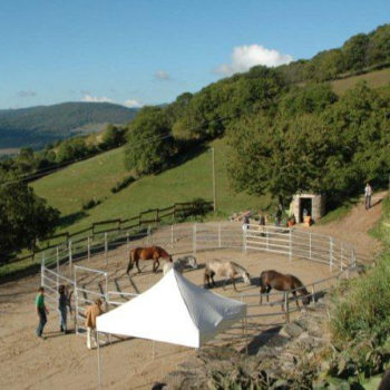 Equicoaching Cadac Jérôme Dumont et associés Lyon et Villefranche-sur-Saône