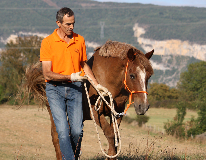 Equitation éthologique Cadac Jérôme Dumont et associés Lyon et Villefranche-sur-Saône