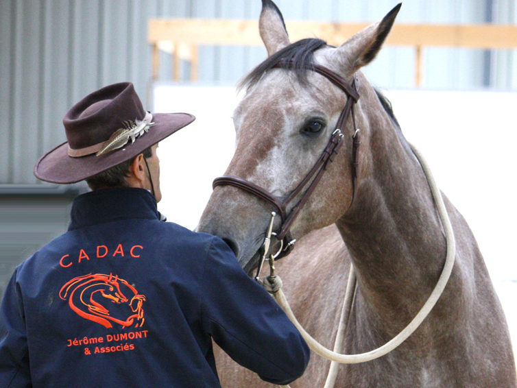 Equitation éthologique Equifeel Cadac Jérôme Dumont et associés Lyon et Villefranche-sur-Saône