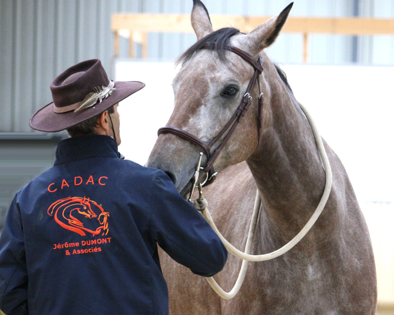 Equitation éthologique Equifeel Cadac Jérôme Dumont et associés Lyon et Villefranche-sur-Saône