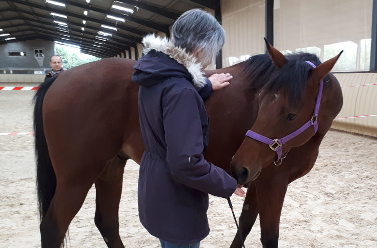 Equicoaching Cadac Jérôme Dumont et associés Lyon et Villefranche-sur-Saône