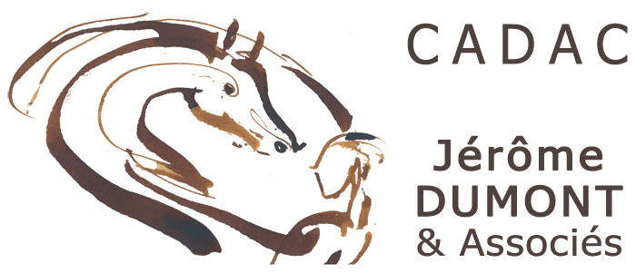 Jérôme Dumont – Equicoaching Lyon – Equitation éthologique