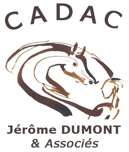 Logo cadac Jérôme Dumont associes Lyon et Villefranche-sur-Saône