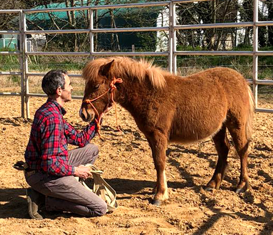 Chevaux Les Cavaliers de Bordelan Cadac Jérôme Dumont Villefranche-sur-Saône