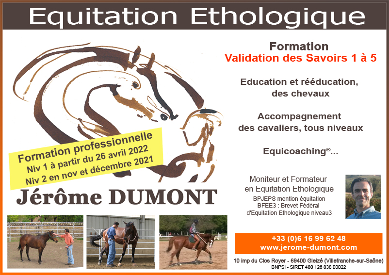 Formations et stages équitation éthologique Equifeel Cadac Jérôme Dumont et associés Lyon et Villefranche-sur-Saône pour EquitaLyon 2021